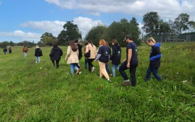 Notre marque 1Action1Arbre : l’agence de communication RSE qui plante des arbres