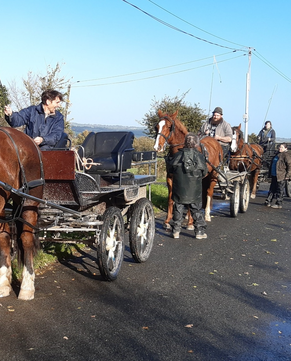 Chevaux en formation MECA