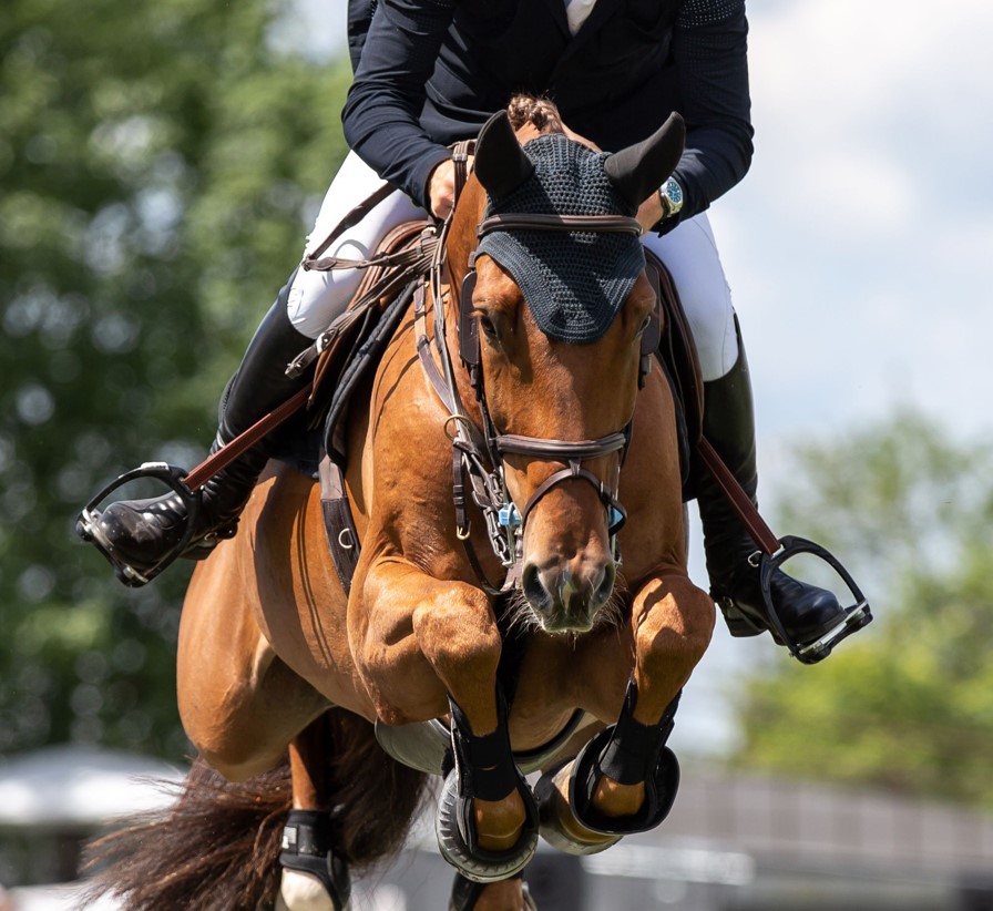 Saut d'obstacle à cheval