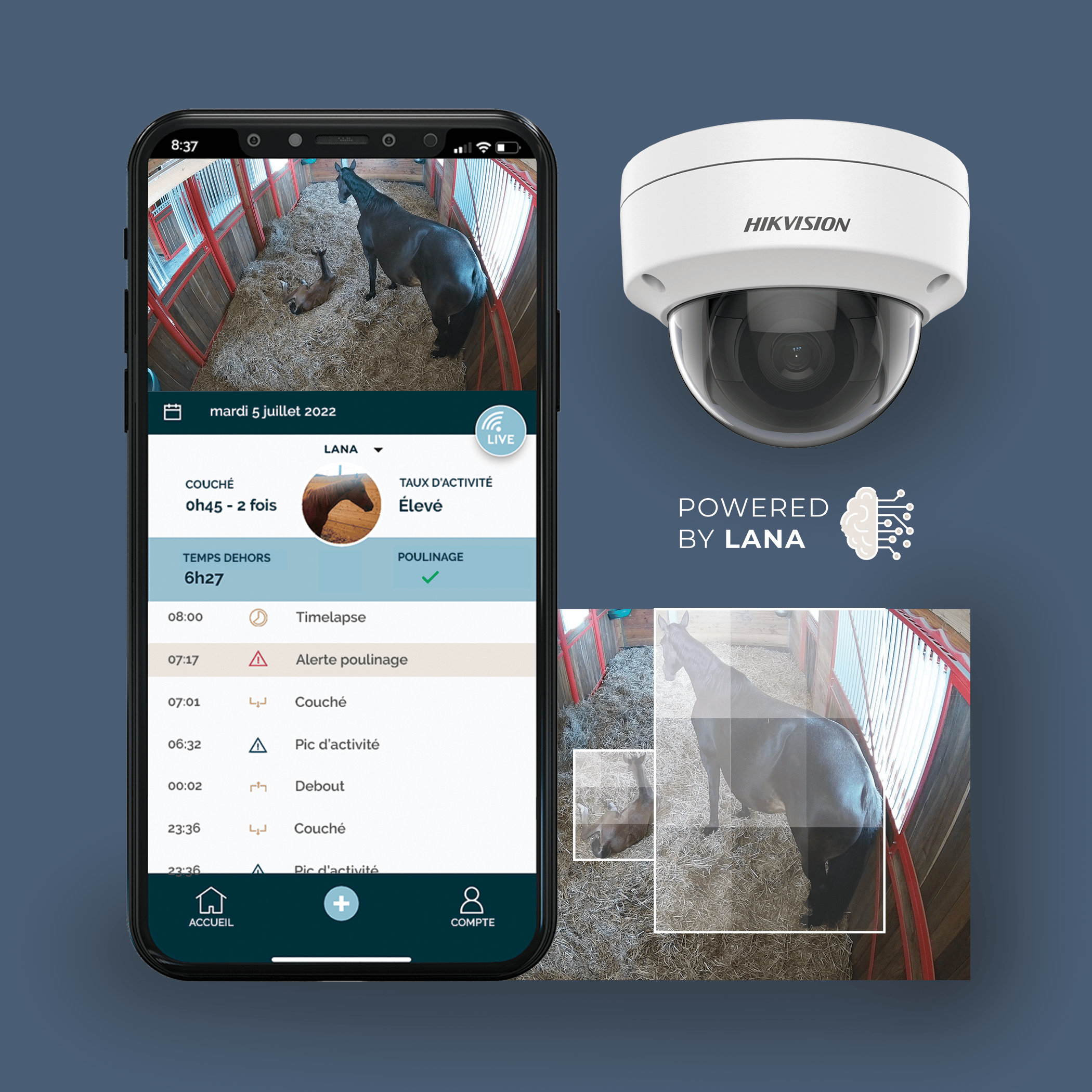 Mise en forme montrant l'application mobile Novostable, la caméra et un exemple d'utilisation avec un cheval