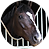 Switch horse icon